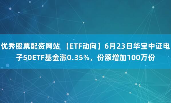 优秀股票配资网站 【ETF动向】6月23日华宝中证电子50ETF基金涨0.35%，份额增加100万份