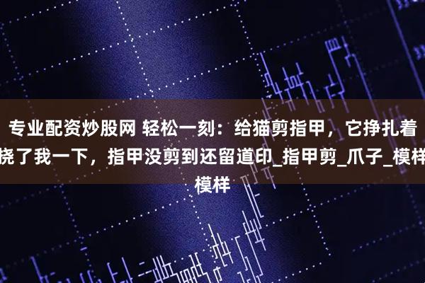 专业配资炒股网 轻松一刻：给猫剪指甲，它挣扎着挠了我一下，指甲没剪到还留道印_指甲剪_爪子_模样
