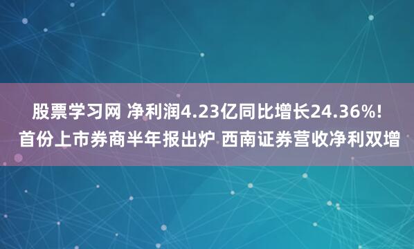股票学习网 净利润4.23亿同比增长24.36%! 首份上市券商半年报出炉 西南证券营收净利双增