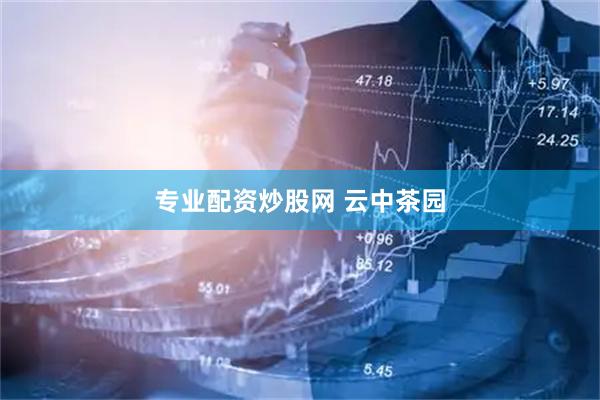 专业配资炒股网 云中茶园