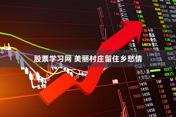股票学习网 美丽村庄留住乡愁情