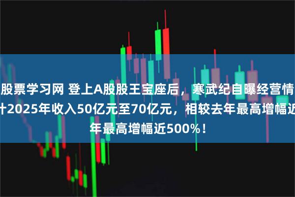 股票学习网 登上A股股王宝座后，寒武纪自曝经营情况！预计2025年收入50亿元至70亿元，相较去年最高增幅近500%！